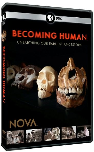 NOVA: Becoming Human