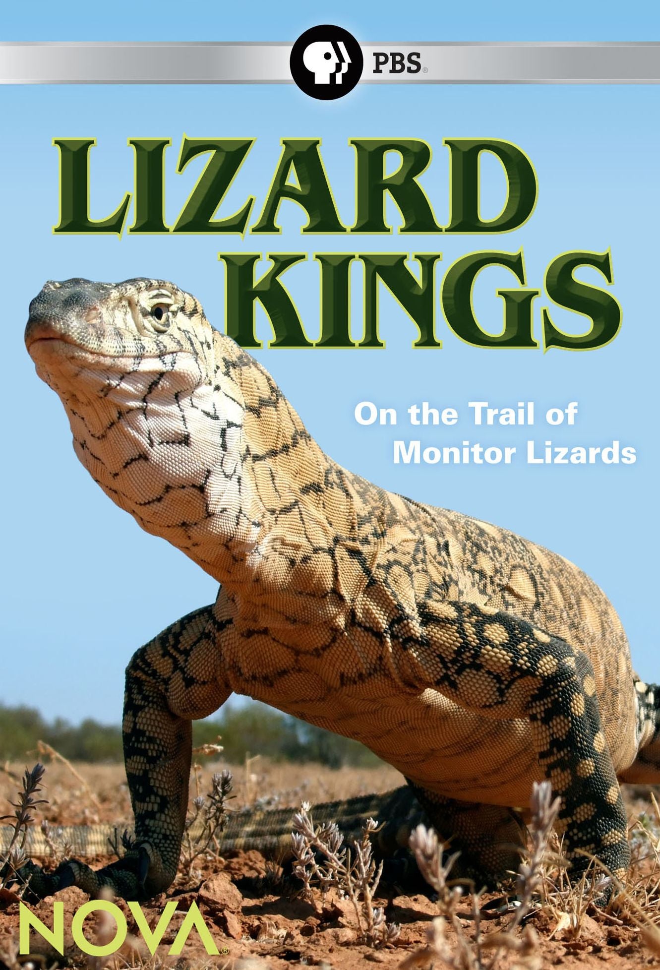NOVA: Lizard Kings
