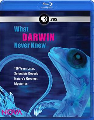 NOVA: What Darwin Never Knew [Blu-ray]