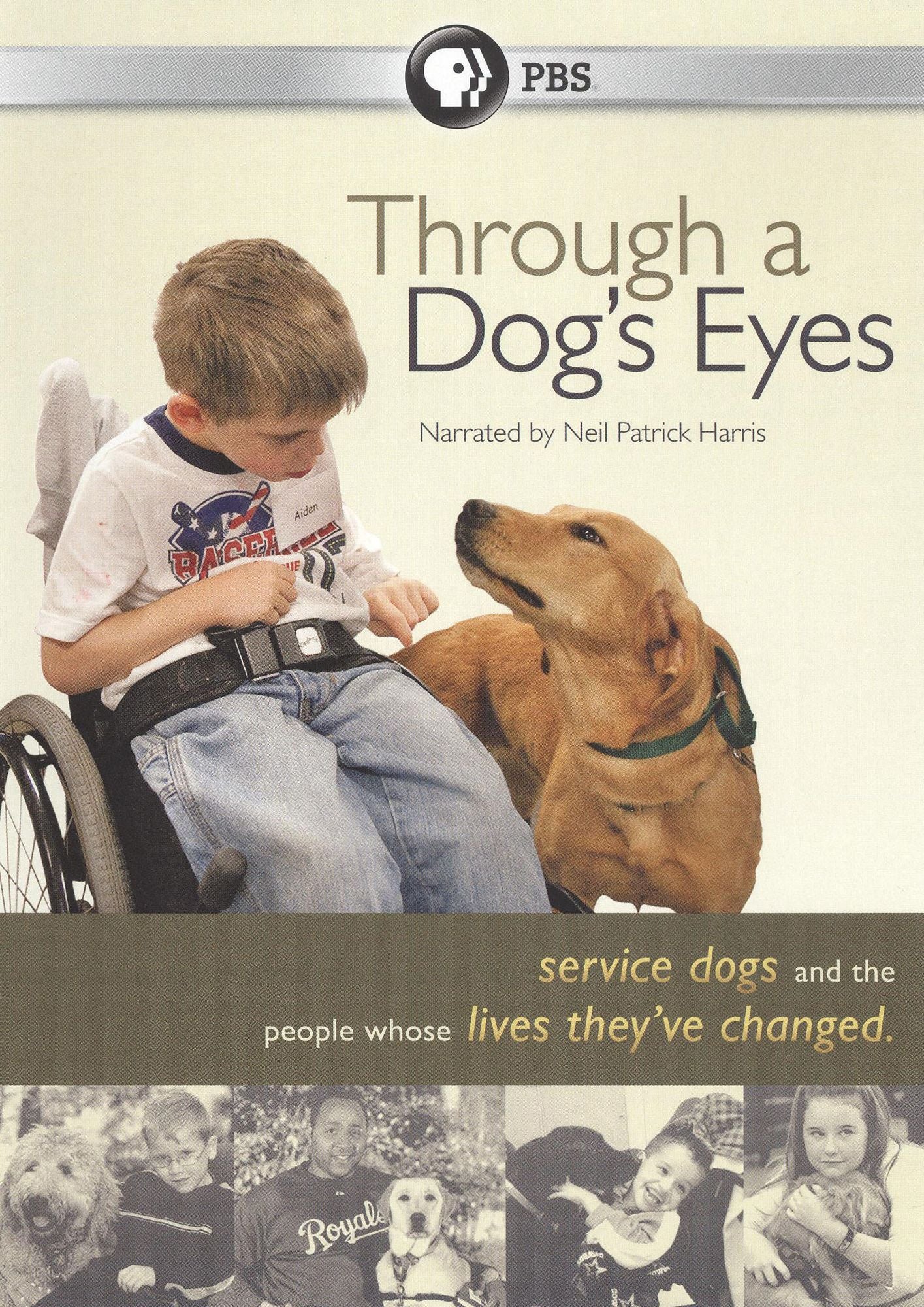 Through a Dog's Eyes