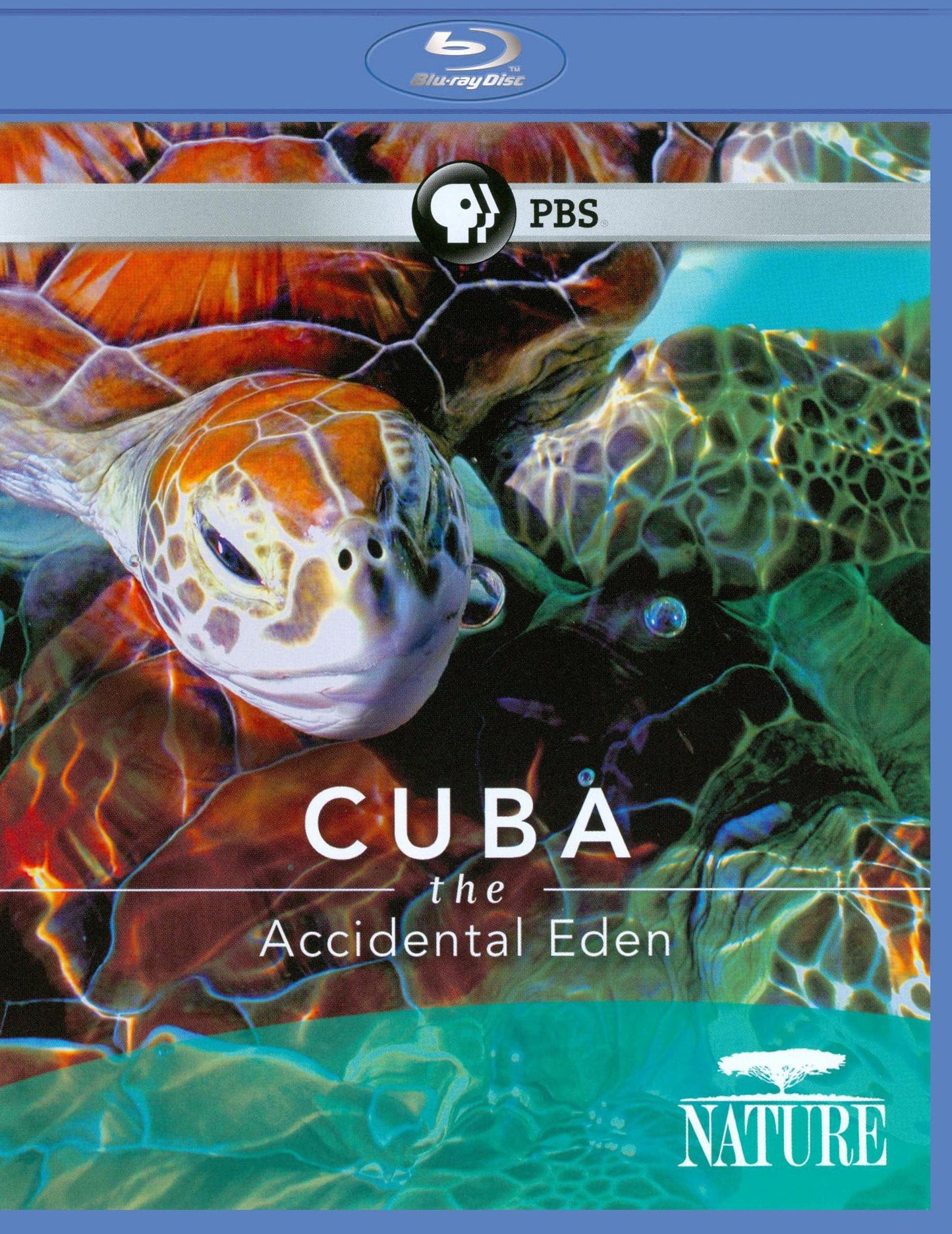 Cuba: The Accidental Eden [Blu-ray]