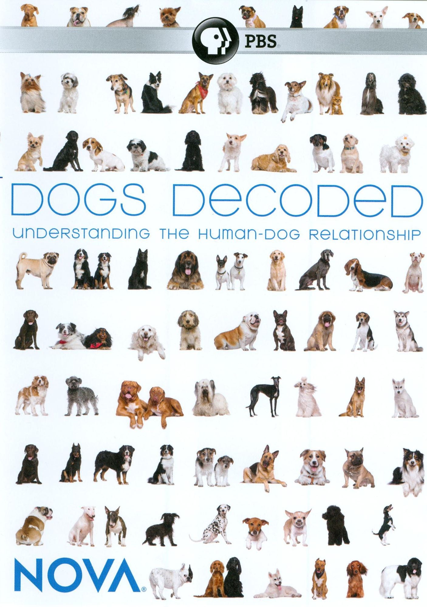 NOVA: Dogs Decoded