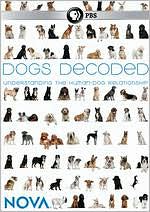 NOVA: Dogs Decoded