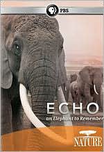 Nature: Echo - An Elephant to Remember