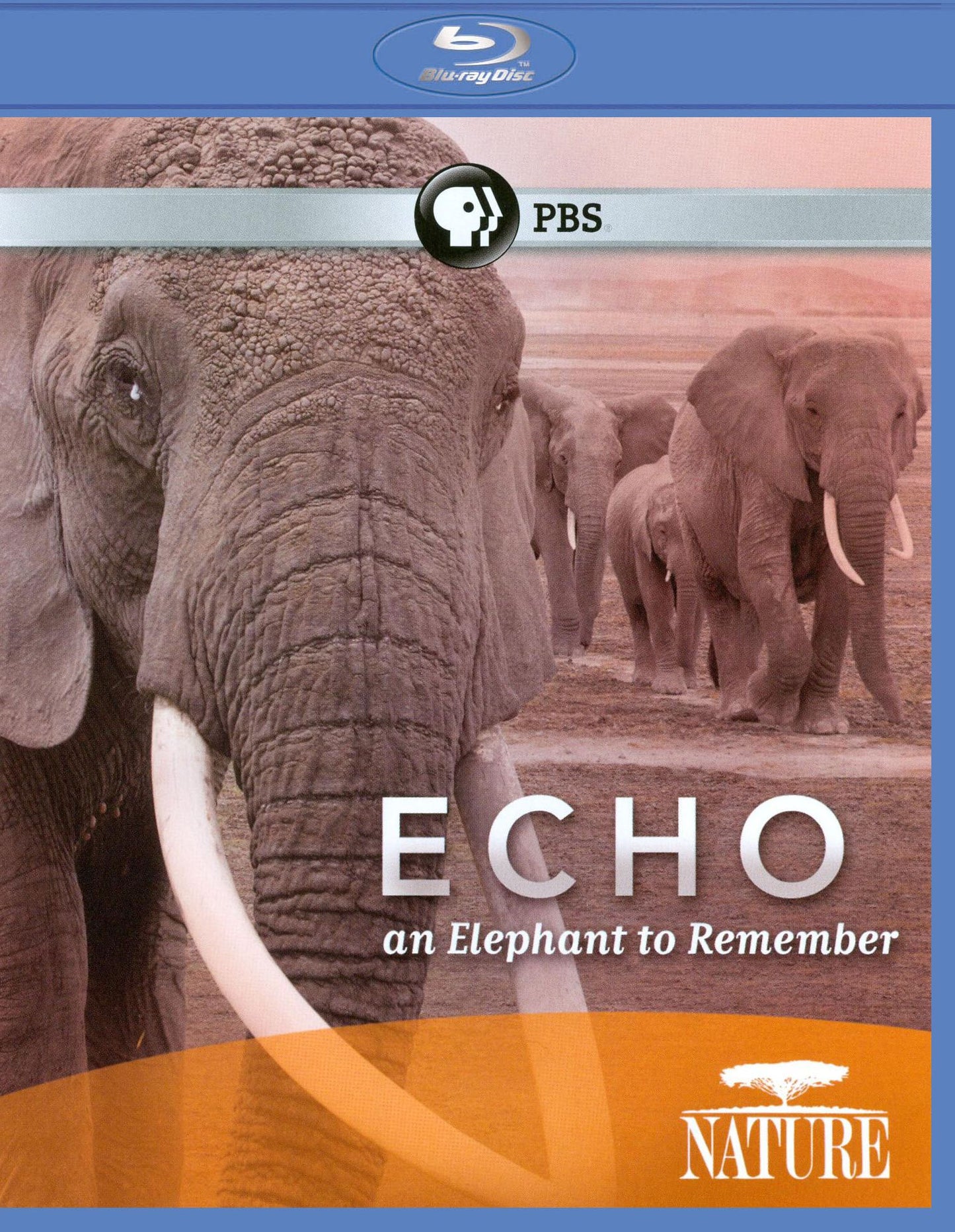 Nature: Echo - An Elephant to Remember [Blu-ray]