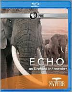 Nature: Echo - An Elephant to Remember [Blu-ray]