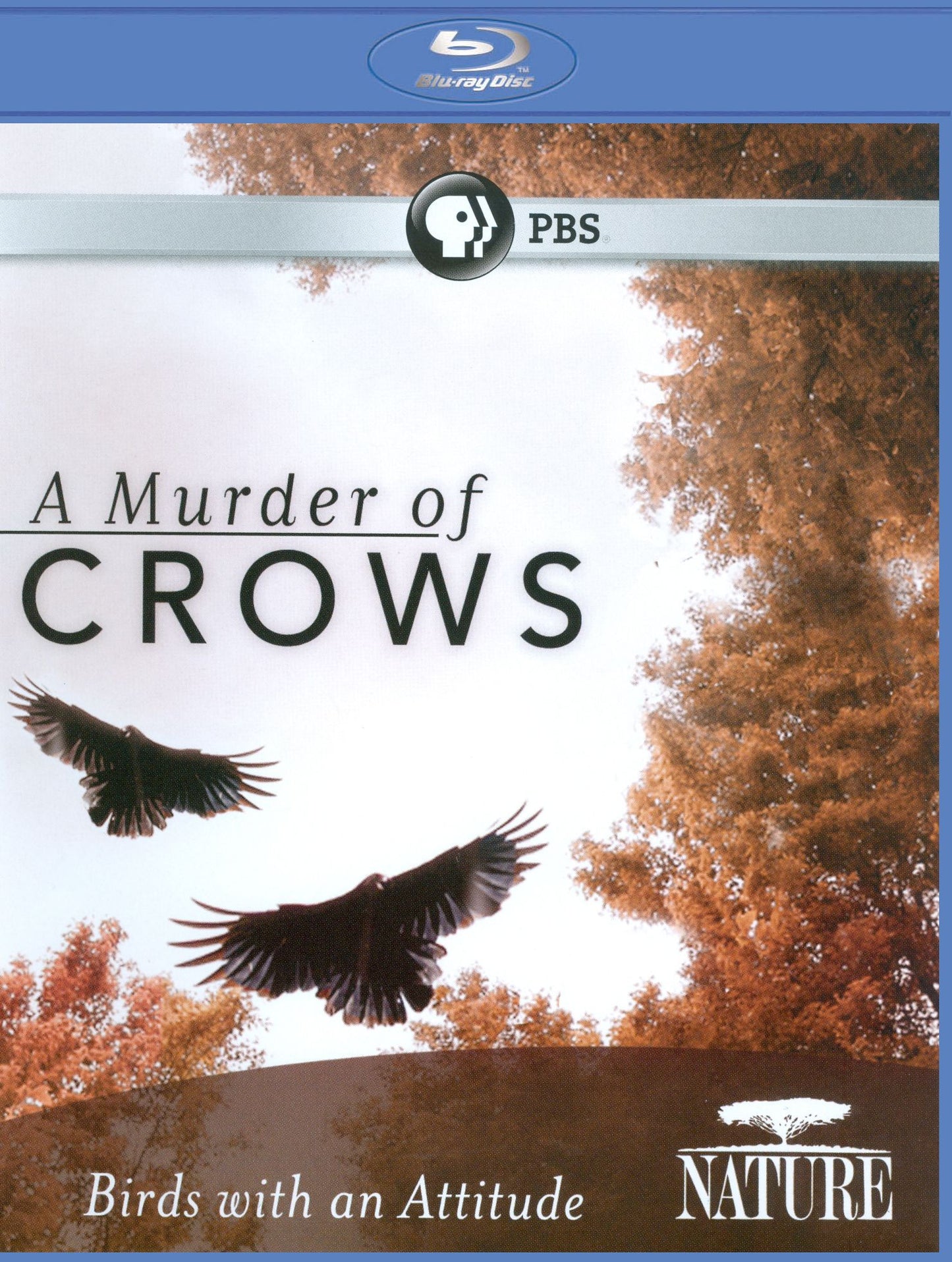 Nature: A Murder of Crows [Blu-ray]