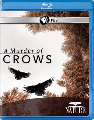 Nature: A Murder of Crows [Blu-ray]