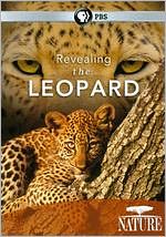 Nature: Revealing the Leopard