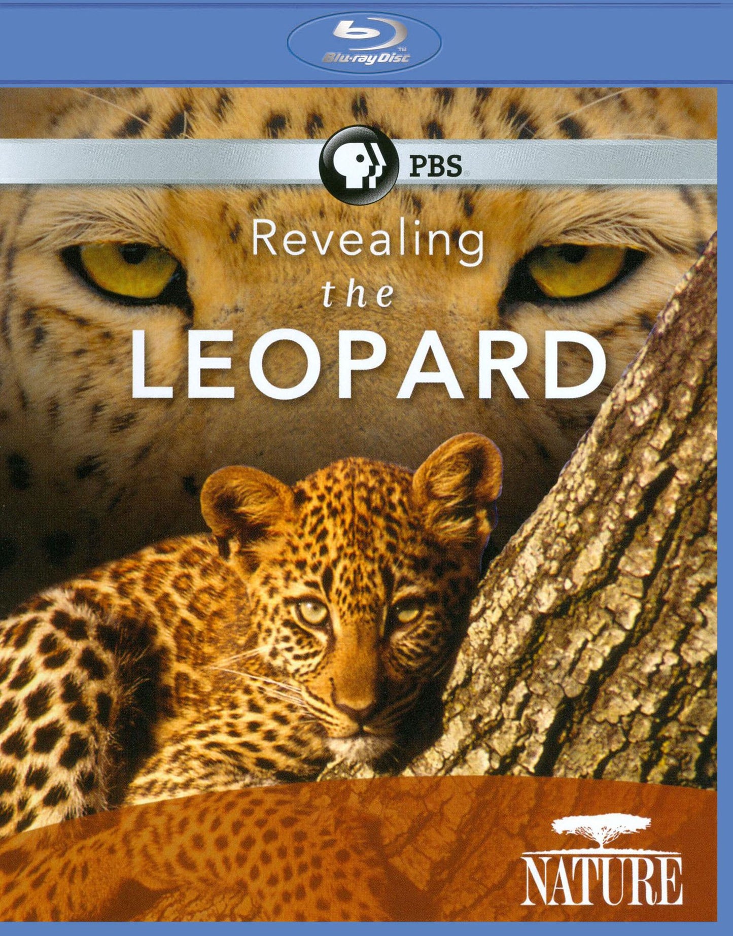 Nature: Revealing the Leopard [Blu-ray]