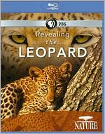 Nature: Revealing the Leopard [Blu-ray]