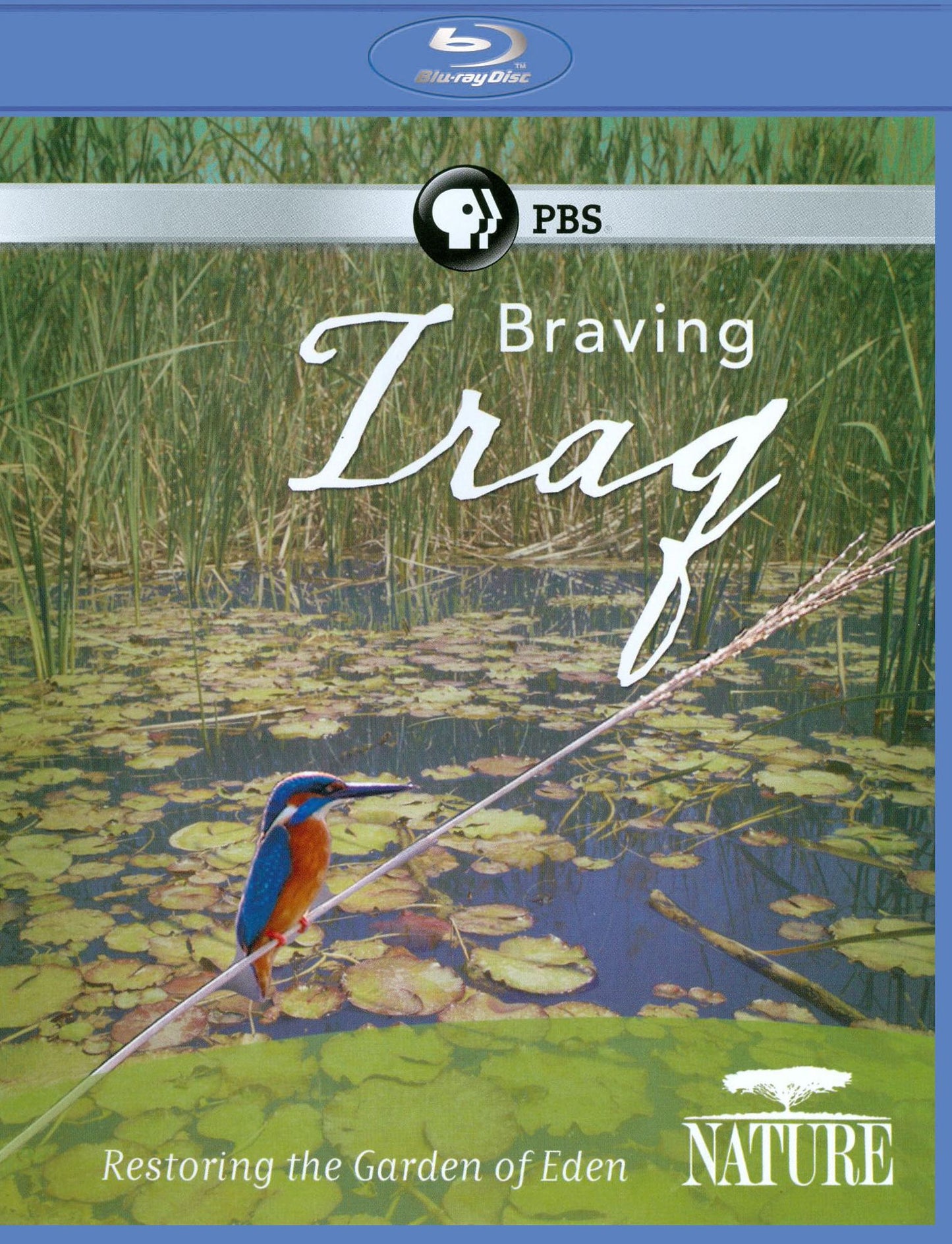 Nature: Braving Iraq [Blu-ray]