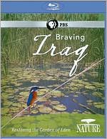 Nature: Braving Iraq [Blu-ray]
