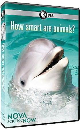 NOVA scienceNOW: How Smart Are Animals?