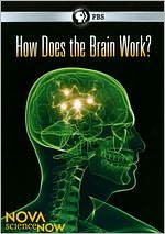 NOVA scienceNOW: How Does the Brain Work?