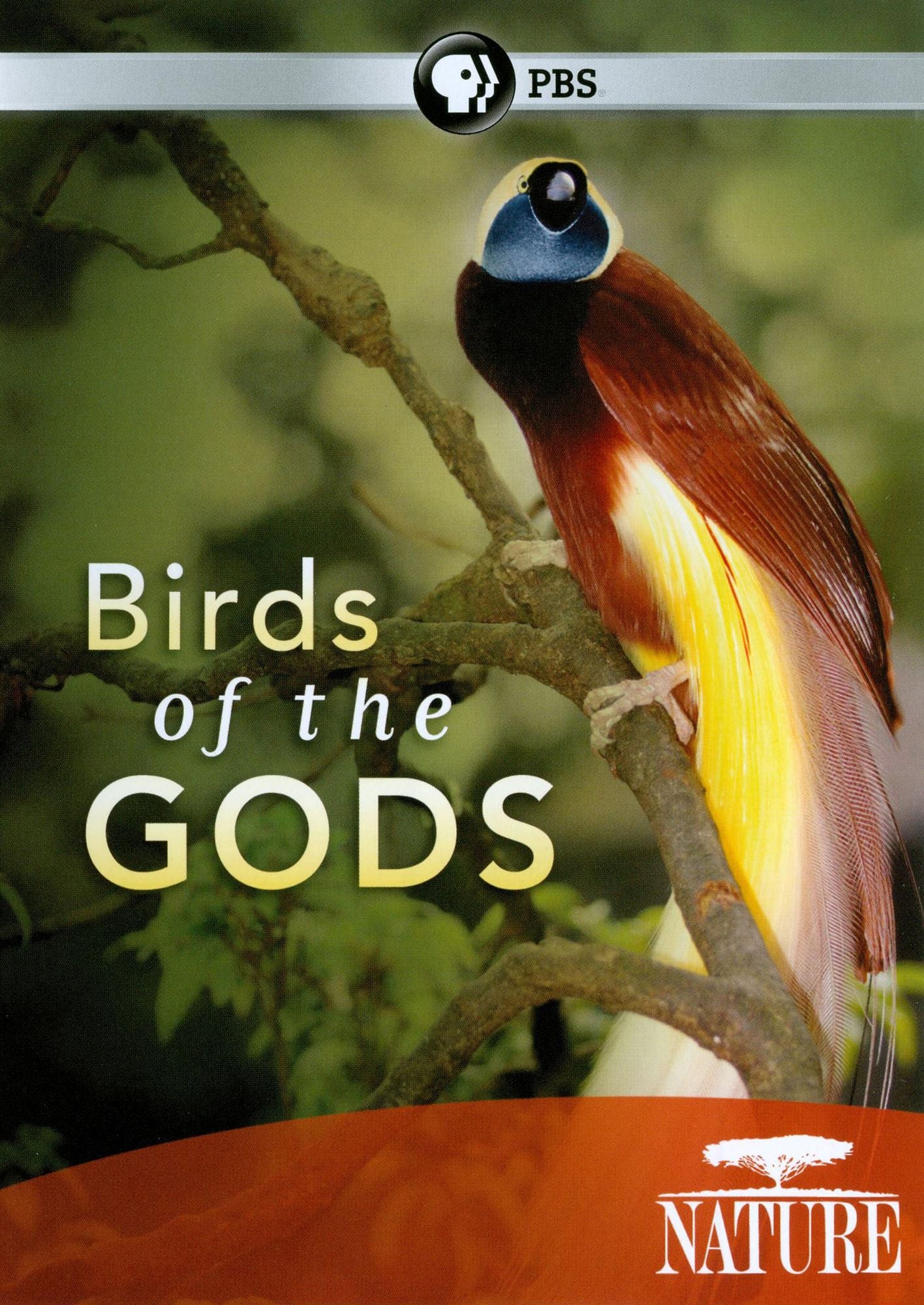 Nature: Birds of the Gods