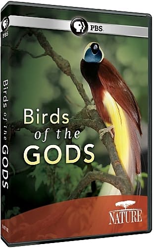 Nature: Birds of the Gods