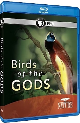 Nature: Birds of the Gods [Blu-ray]