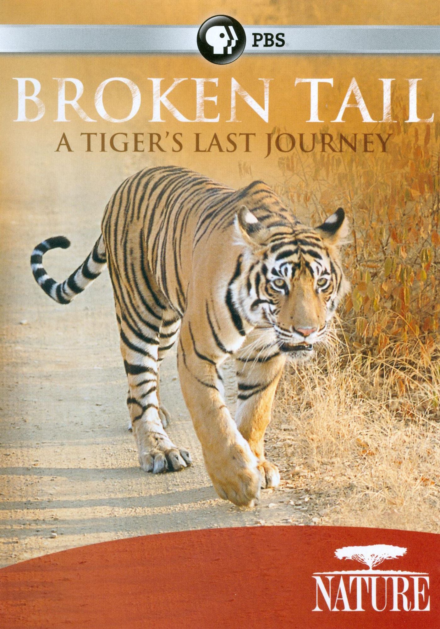 Nature: Broken Tail - A Tiger's Last Journey