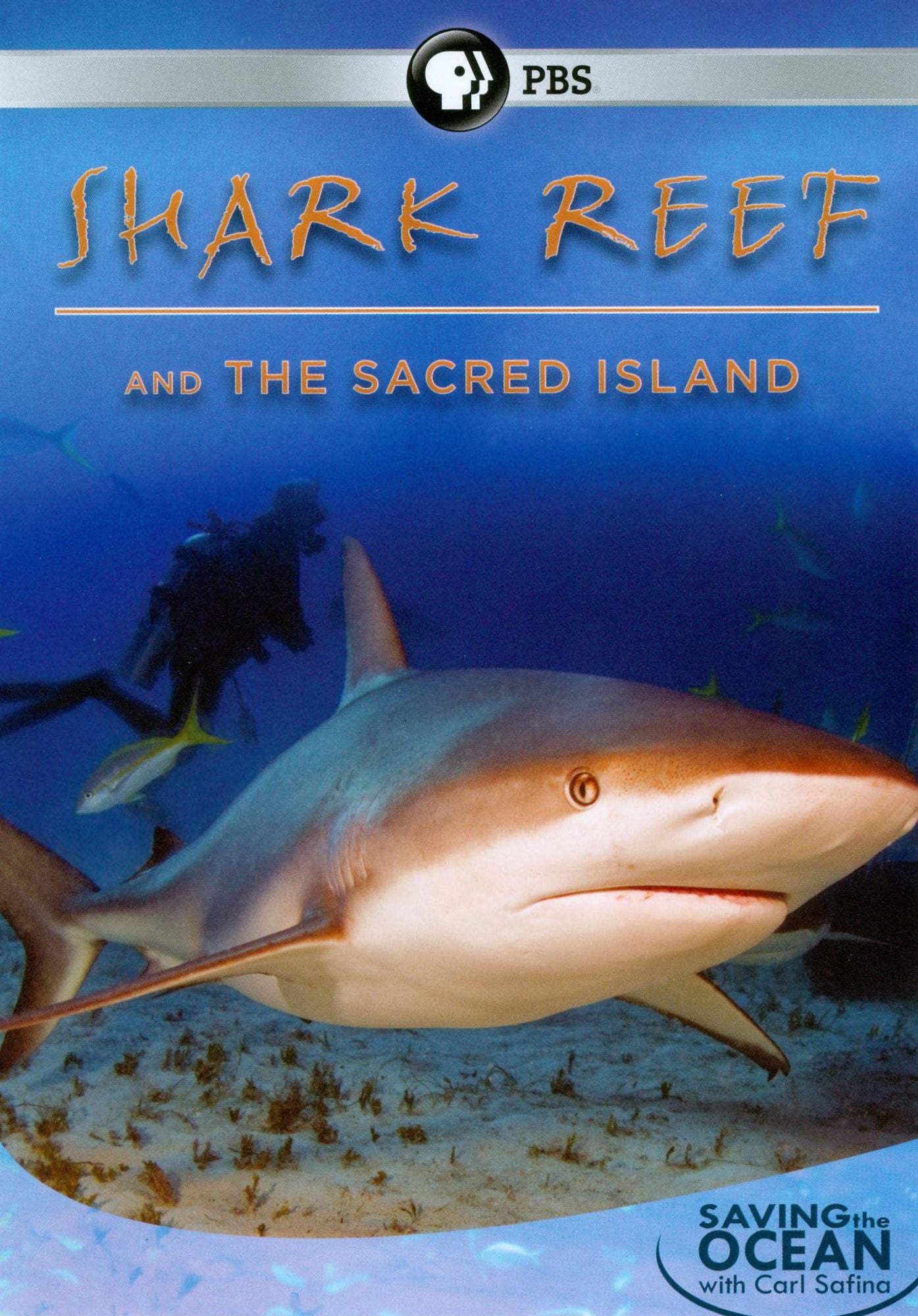 Saving the Ocean: Shark Reef and the Sacred Island