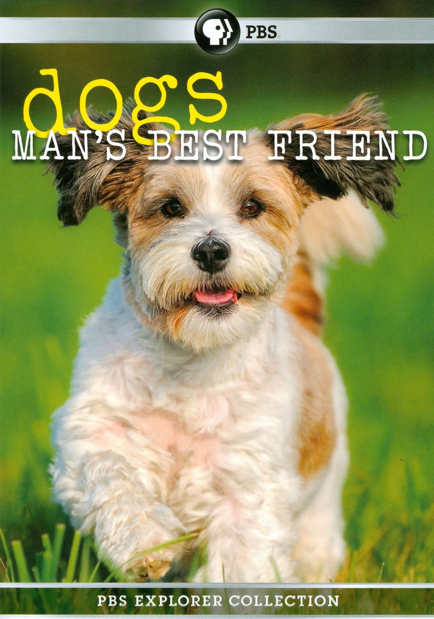 PBS Explorer Collection: Dogs - Man's Best Friend [4 Discs]