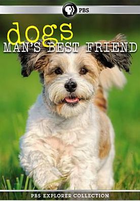 PBS Explorer Collection: Dogs - Man's Best Friend [4 Discs]