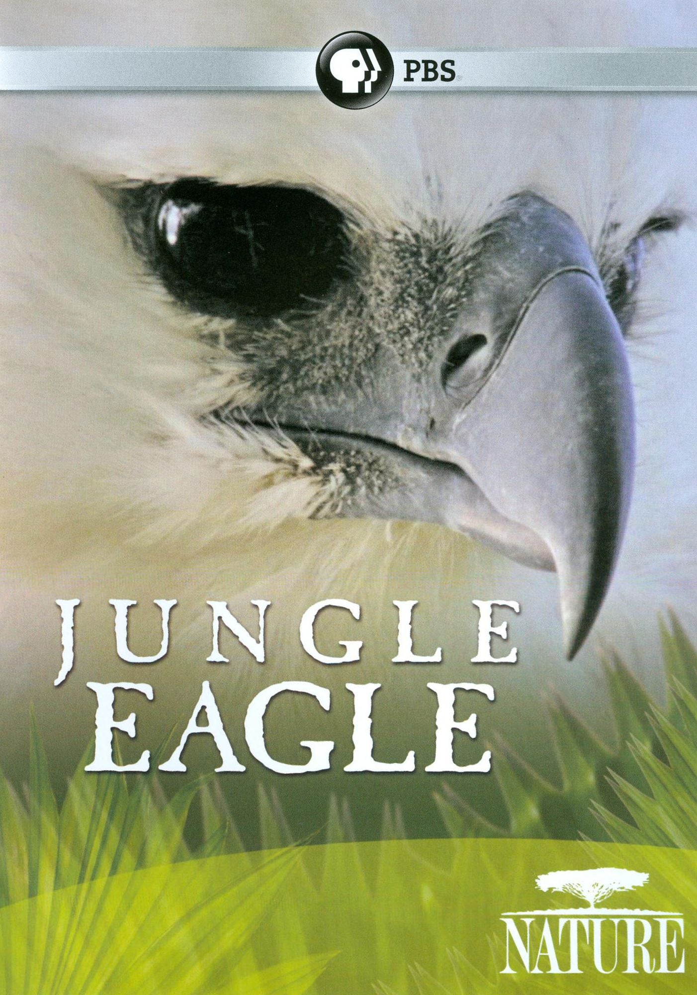 Nature: Jungle Eagle