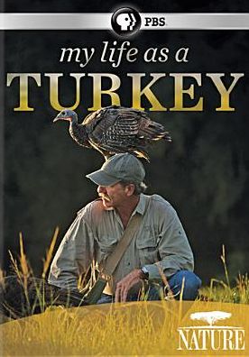 Nature: My Life as a Turkey