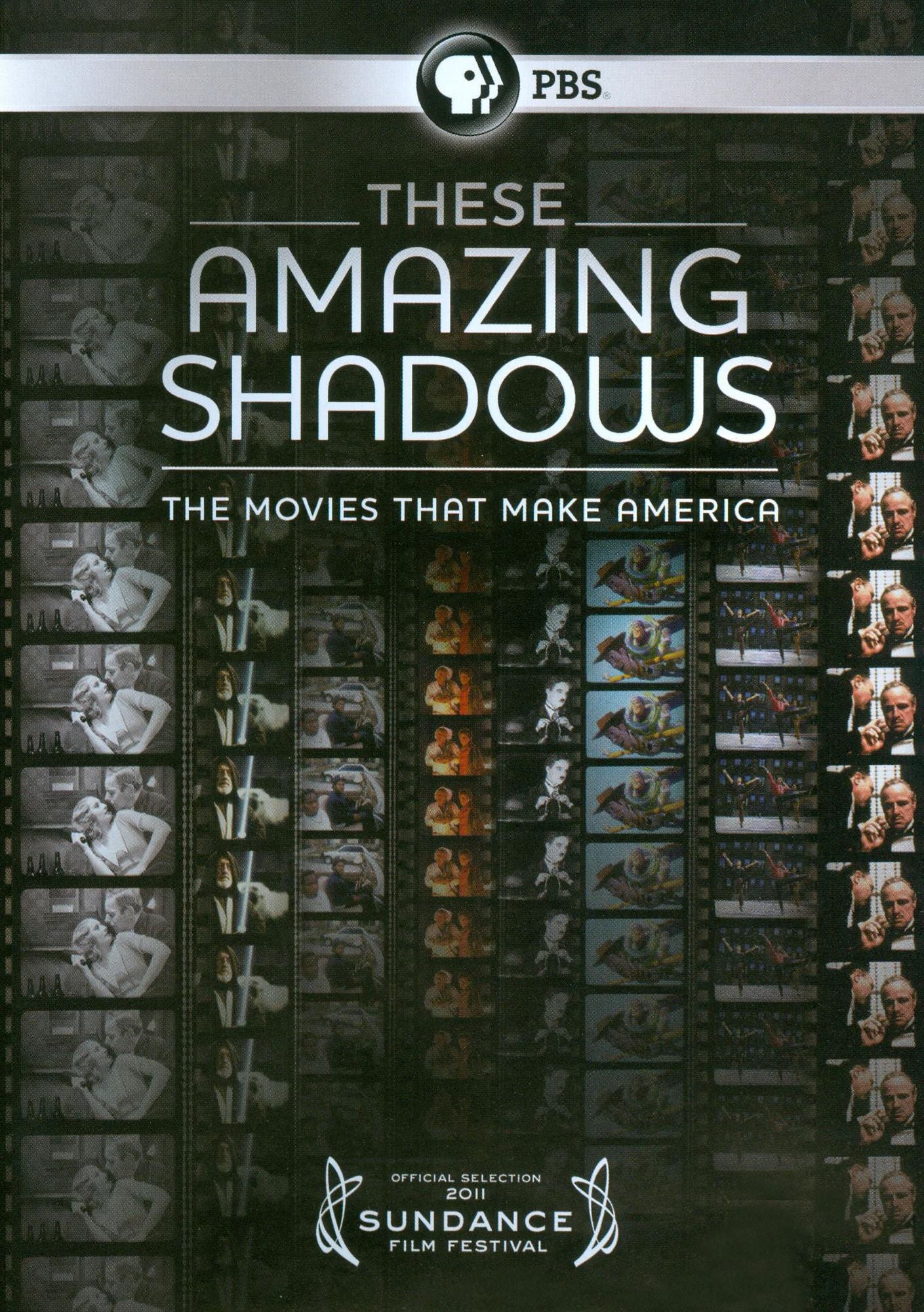 These Amazing Shadows: The Movies That Make America