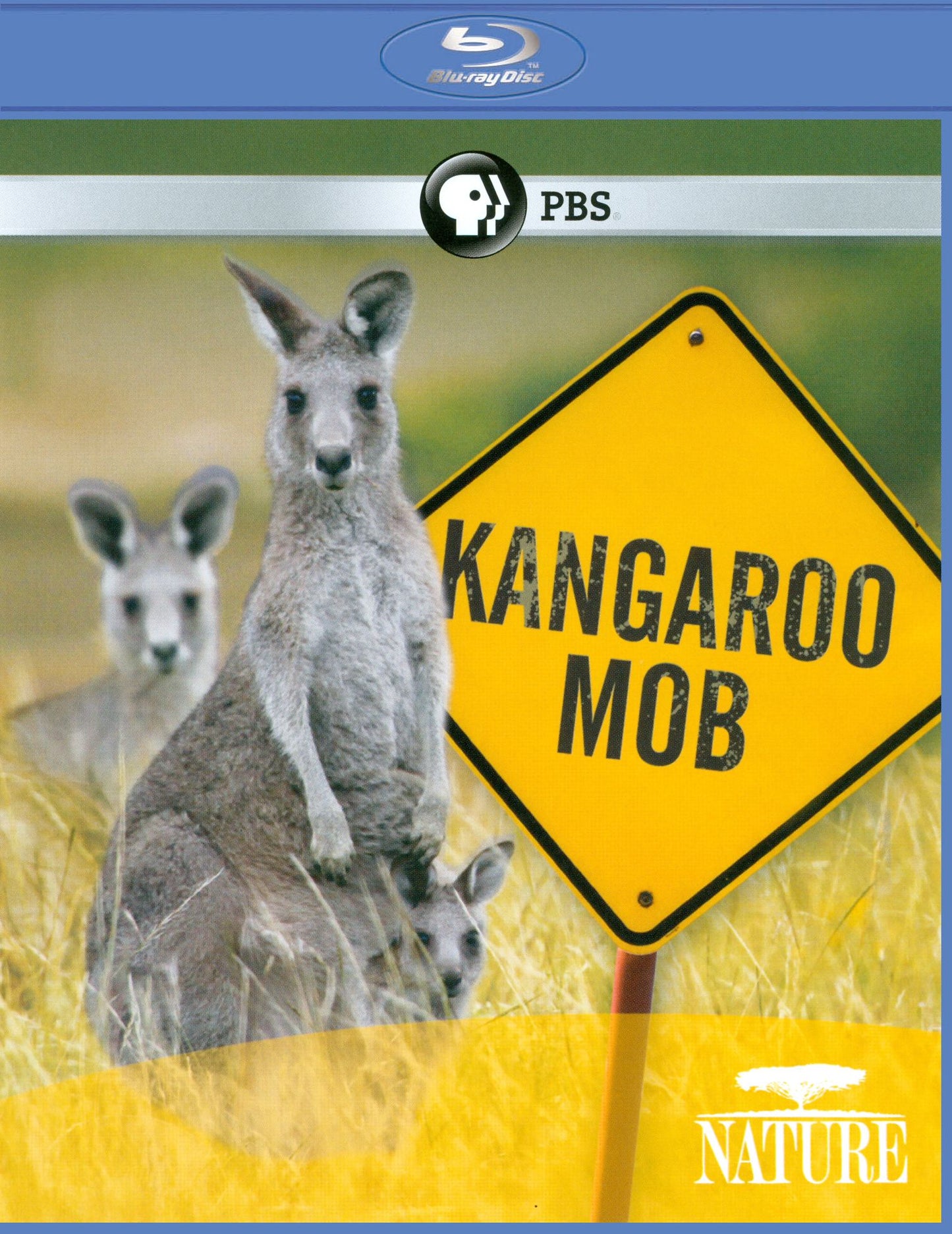 Nature: Kangaroo Mob [Blu-ray]