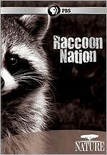Nature: Raccoon Nation