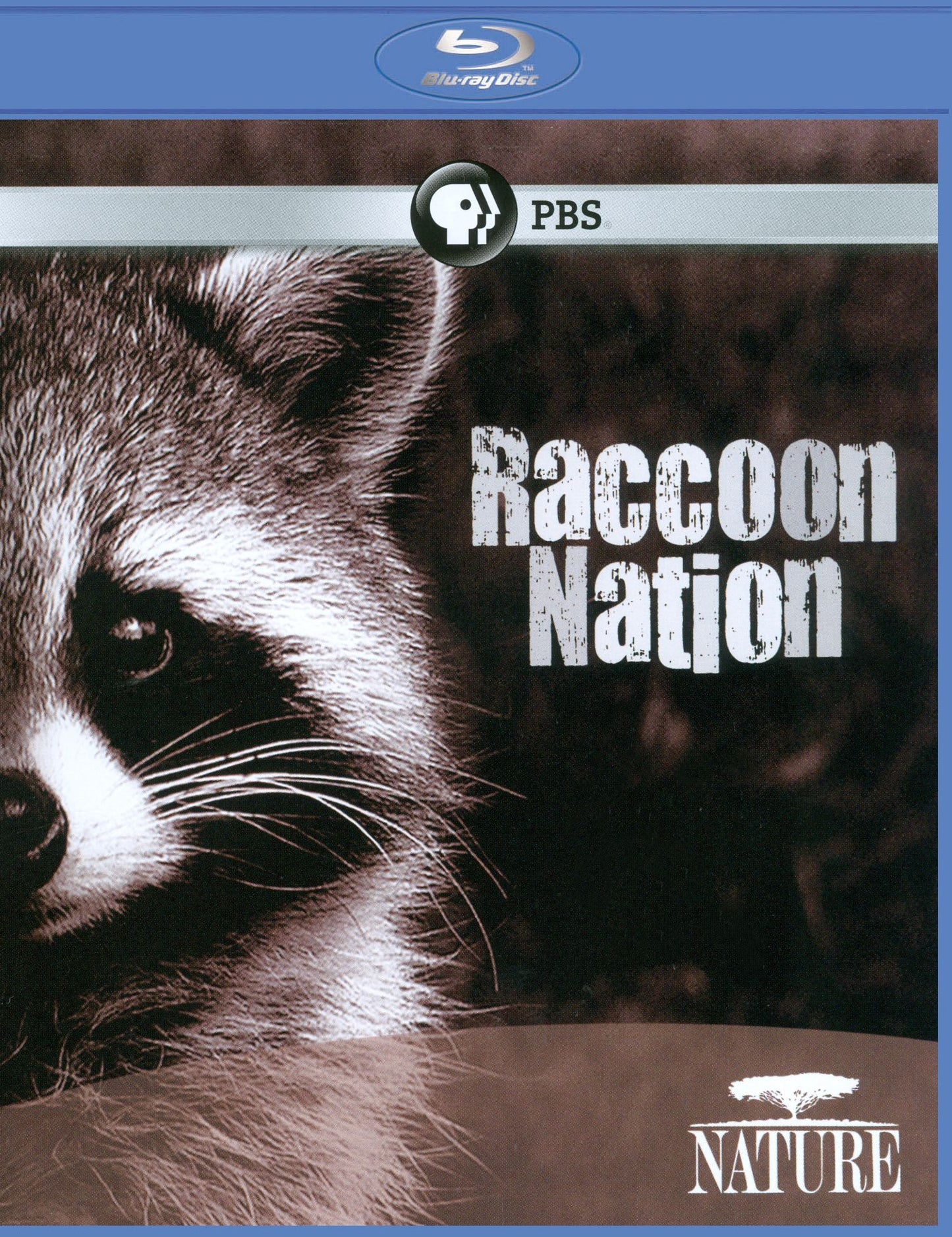 Nature: Raccoon Nation [Blu-ray]
