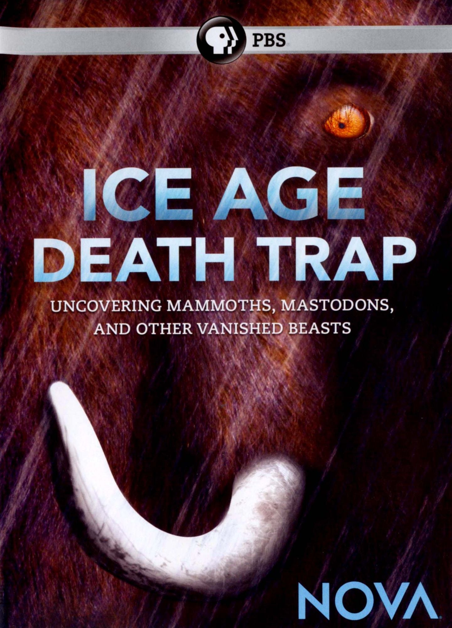NOVA: Ice Age Death Trap