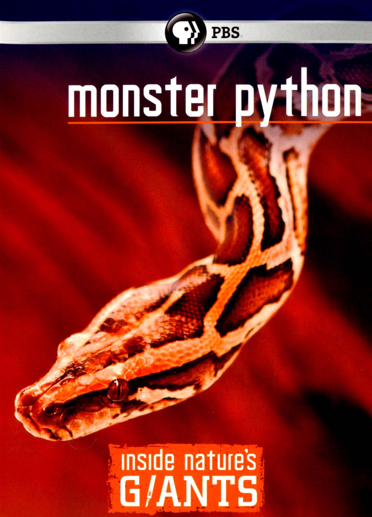 Inside Nature's Giants: Monster Python
