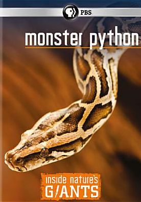 Inside Nature's Giants: Monster Python