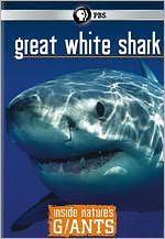 Inside Nature's Giants: Great White Shark