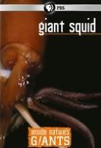 Inside Nature's Giants: Giant Squid