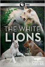 Nature: The White Lions