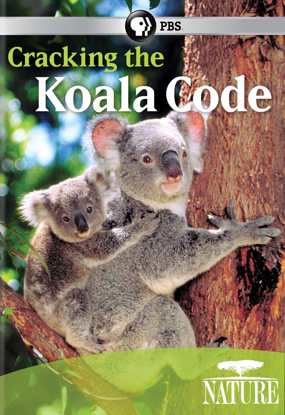 Nature: Cracking the Koala Code