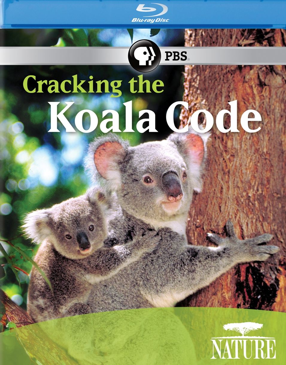 Nature: Cracking the Koala Code [Blu-ray]