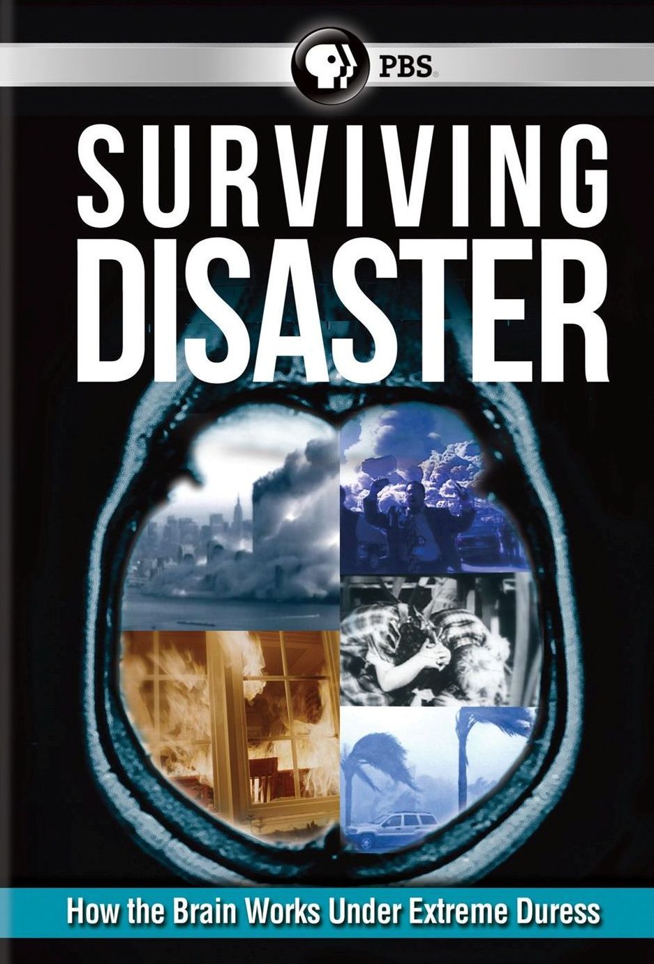 Surviving Disaster
