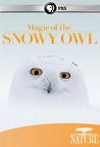 Nature: Magic of the Snowy Owl