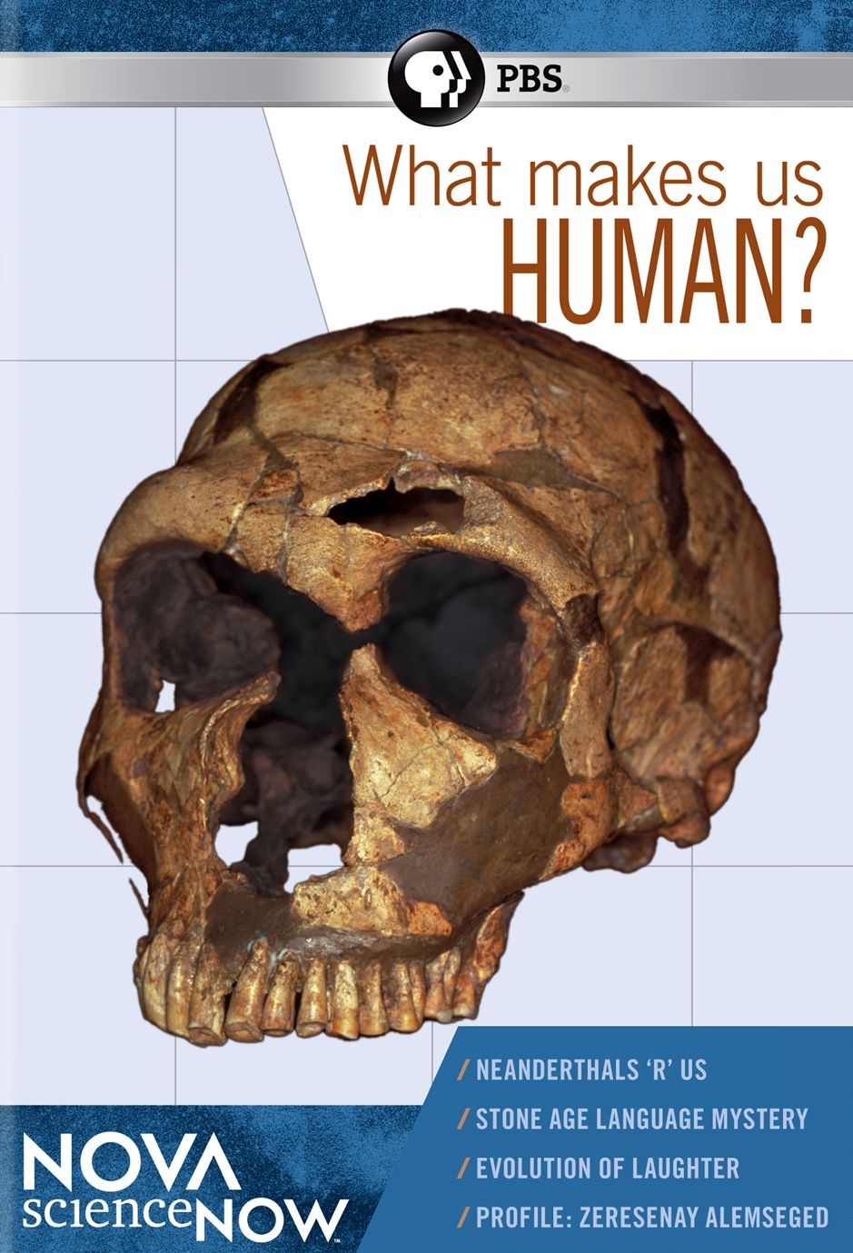 NOVA scienceNOW: What Makes Us Human?