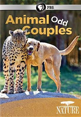 Nature: Animal Odd Couples
