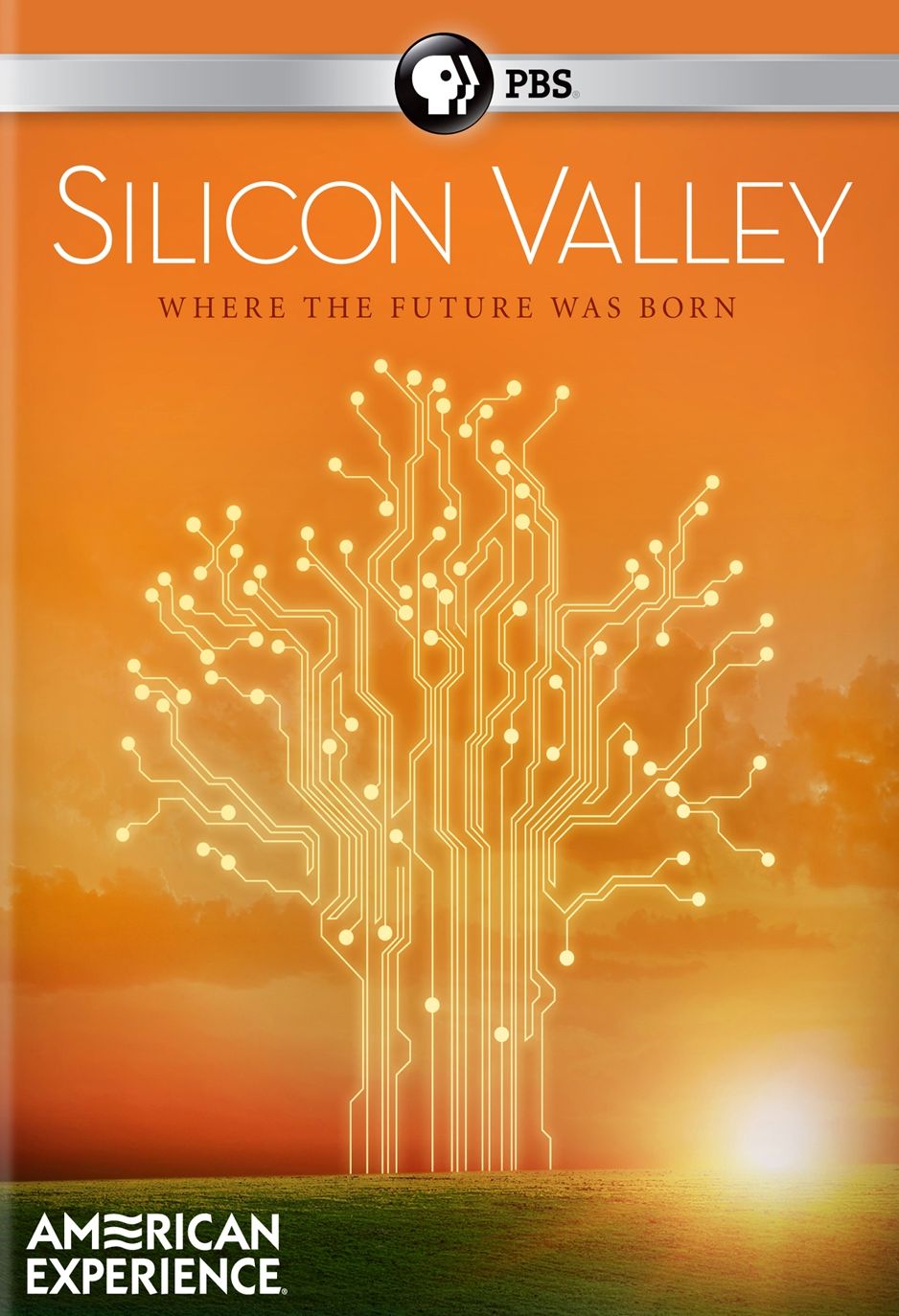 American Experience: Silicon Valley