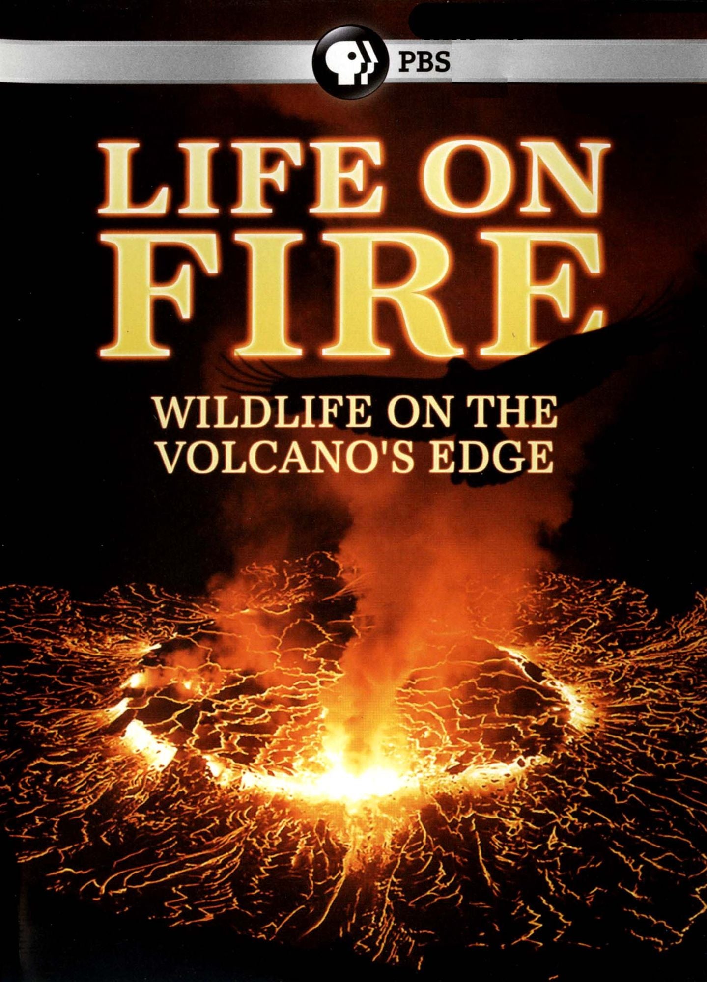 Life on Fire: Wildlife on the Volcano's Edge [2 Discs]
