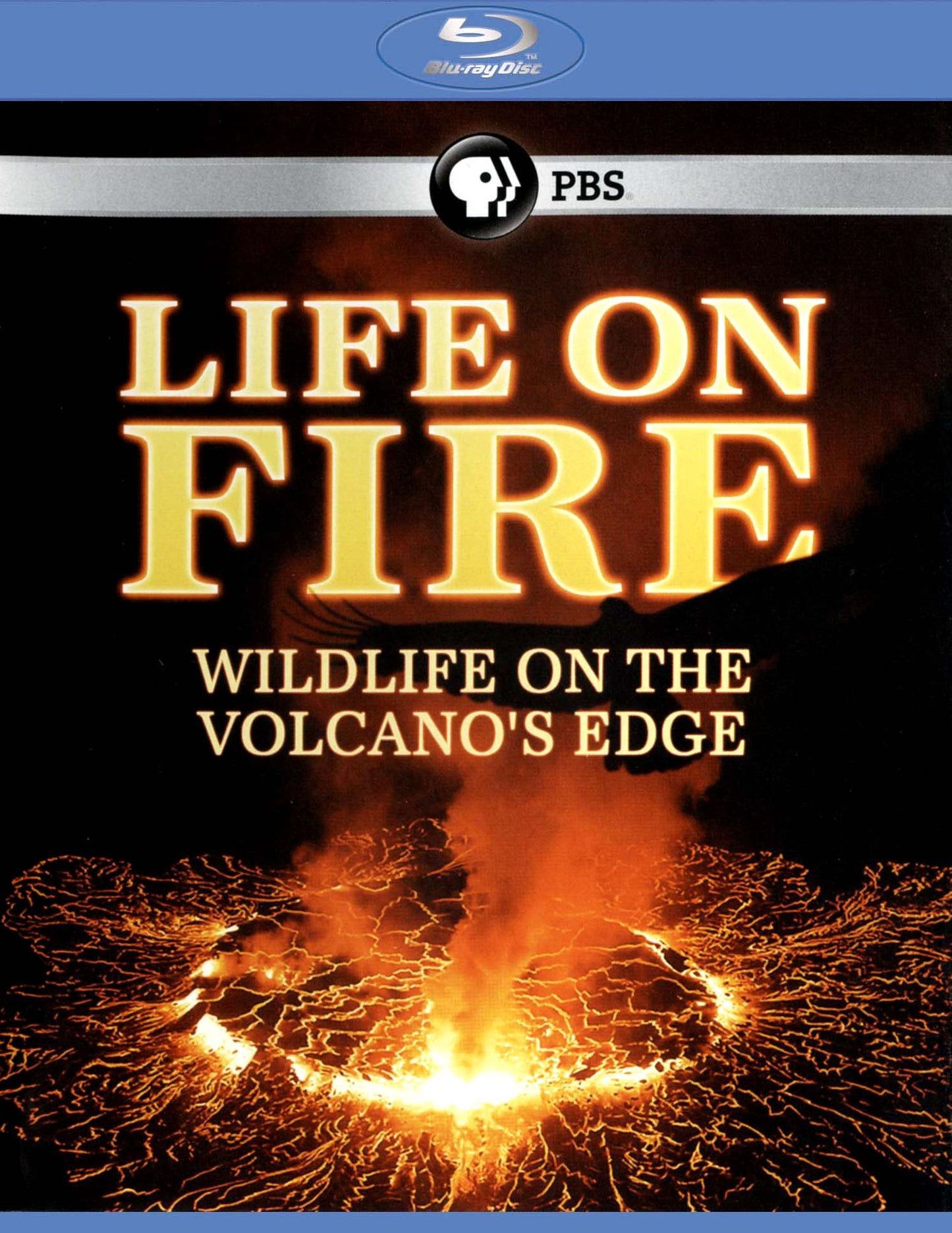 Life on Fire: Wildlife on the Volcano's Edge [2 Discs] [Blu-ray]