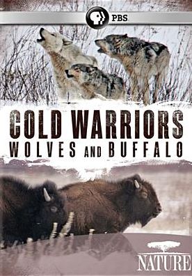 Nature: Cold Warriors - Wolves and Buffalo
