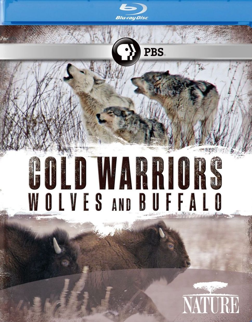 Nature: Cold Warriors - Wolves and Buffalo [Blu-ray]