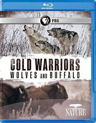 Nature: Cold Warriors - Wolves and Buffalo [Blu-ray]